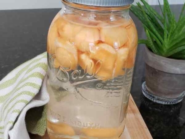 melon water opt