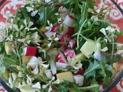 Field pea salad opt