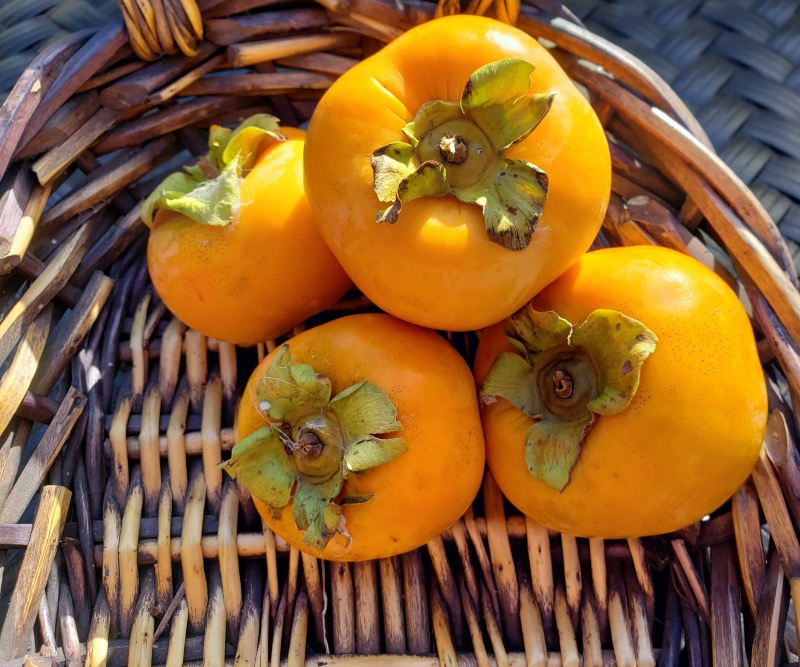 Persimmon Season: What Makes this Orange Fruit Special? - TokyoTreat Blog