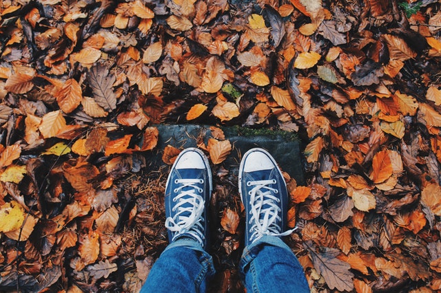 standing in leaves